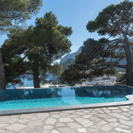 L'ara * Capri